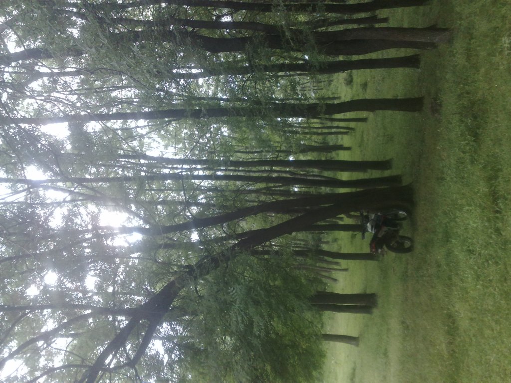 Натиснете снимката за да я уголемите

Име:09062011758.jpg
Прегледи:1
Размер:181.0 КБ
ID:5346228