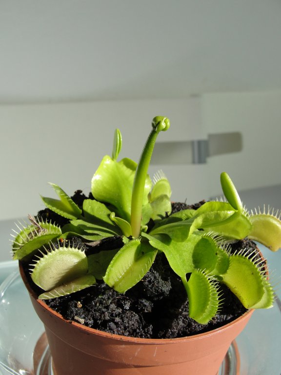 Натиснете снимката за да я уголемите

Име:DSC02737.jpg
Прегледи:1
Размер:62.3 КБ
ID:5346383