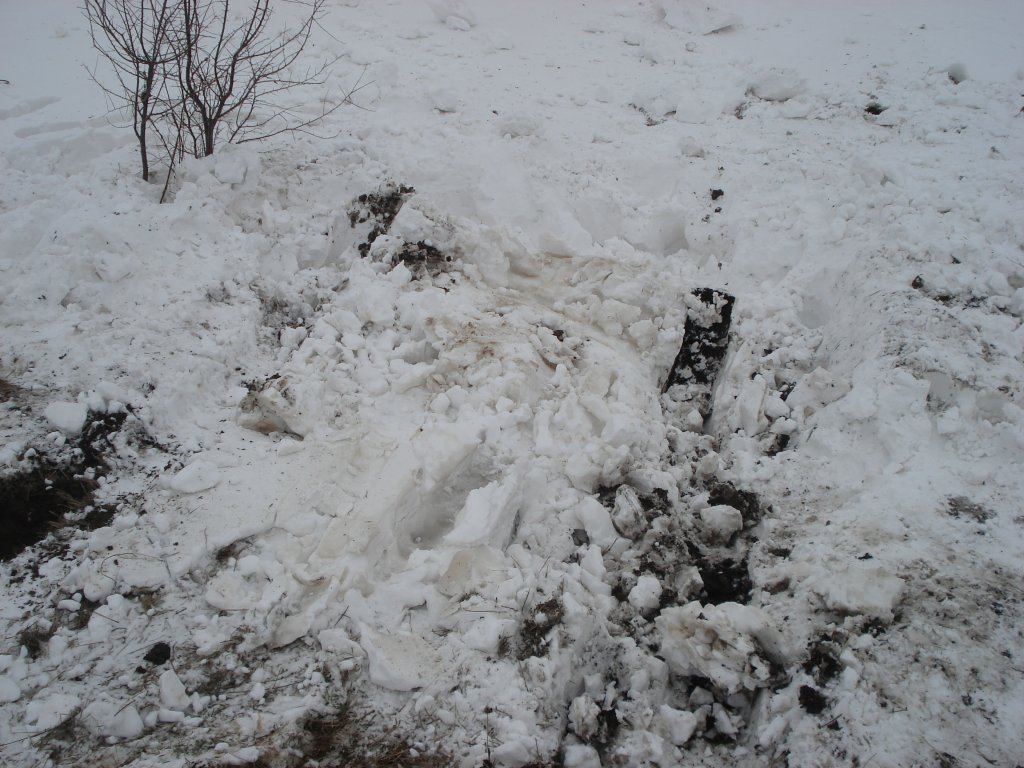 Натиснете снимката за да я уголемите

Име:DSC00889.jpg
Прегледи:1
Размер:161.3 КБ
ID:5346414