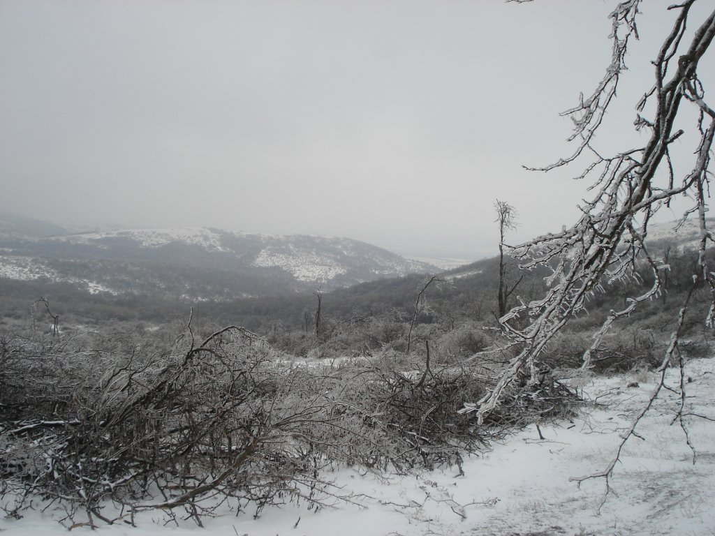 Натиснете снимката за да я уголемите

Име:DSC00893.jpg
Прегледи:1
Размер:152.1 КБ
ID:5346418
