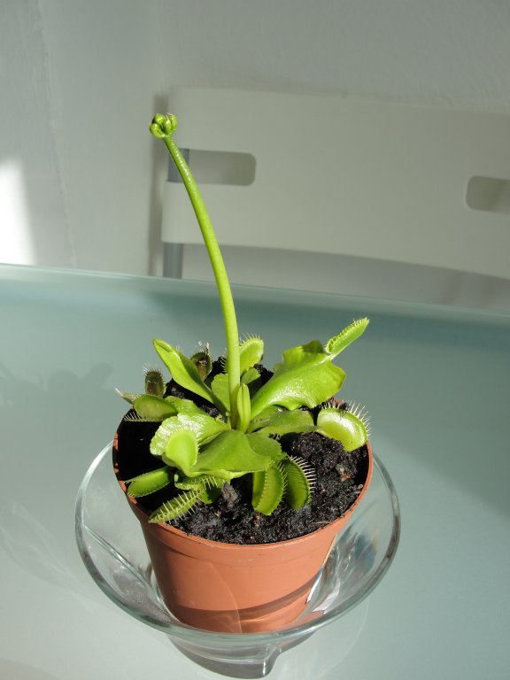 Натиснете снимката за да я уголемите

Име:DSC02785.jpg
Прегледи:1
Размер:48.6 КБ
ID:5347555