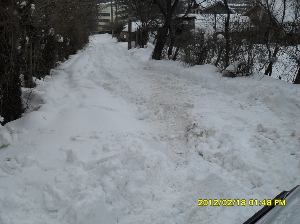 Натиснете снимката за да я уголемите

Име:SDC13440-.JPG
Прегледи:1
Размер:494.9 КБ
ID:5349265