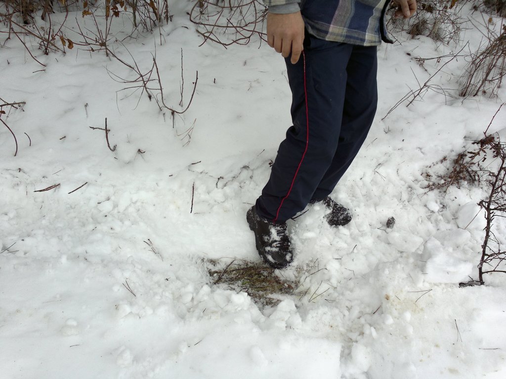 Натиснете снимката за да я уголемите

Име:18022012342.jpg
Прегледи:1
Размер:140.3 КБ
ID:5349344