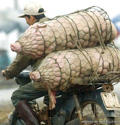 Натиснете снимката за да я уголемите

Име:247868_205027952867260_181717425198313_494529_5565827_n.jpg
Прегледи:1
Размер:59.6 КБ
ID:5349566