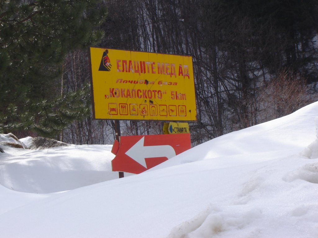 Натиснете снимката за да я уголемите

Име:DSC00223.jpg
Прегледи:1
Размер:119.4 КБ
ID:5962158