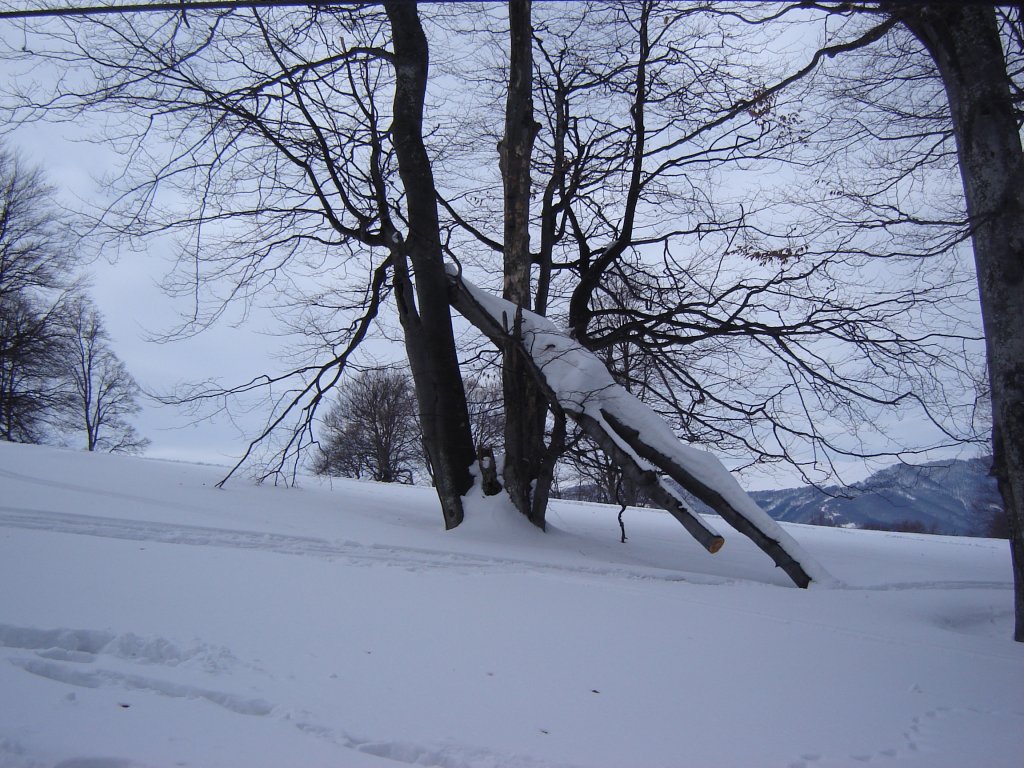 Натиснете снимката за да я уголемите

Име:DSC00144.jpg
Прегледи:1
Размер:208.5 КБ
ID:5350330