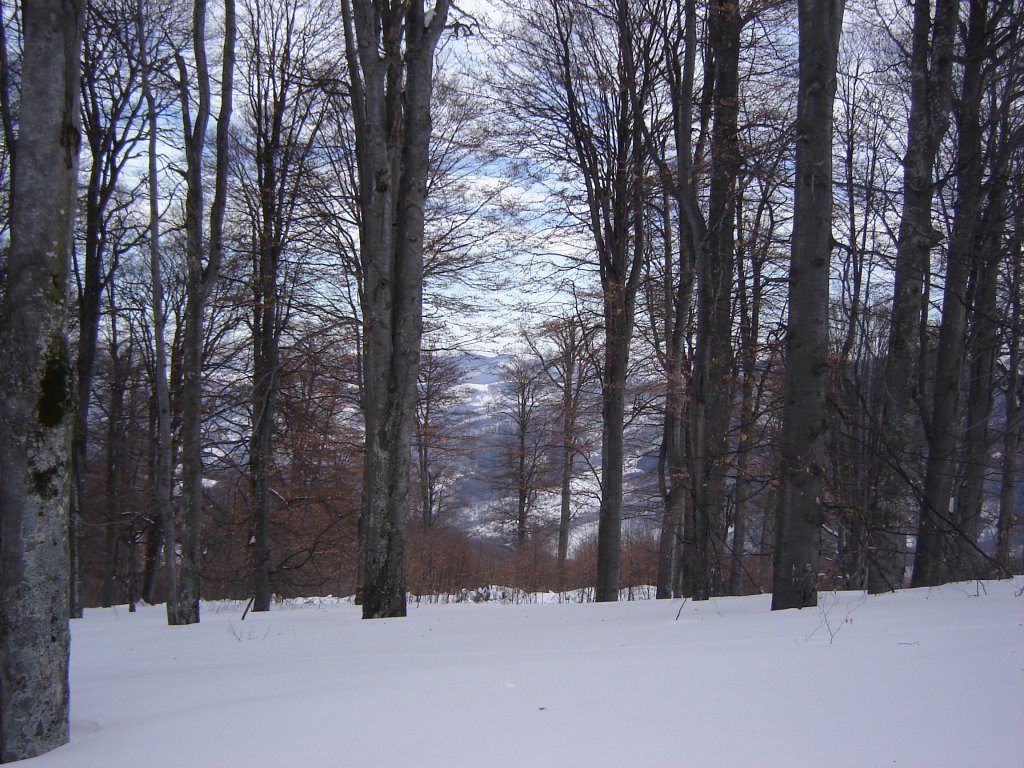 Натиснете снимката за да я уголемите

Име:DSC00146.jpg
Прегледи:1
Размер:227.4 КБ
ID:5350331