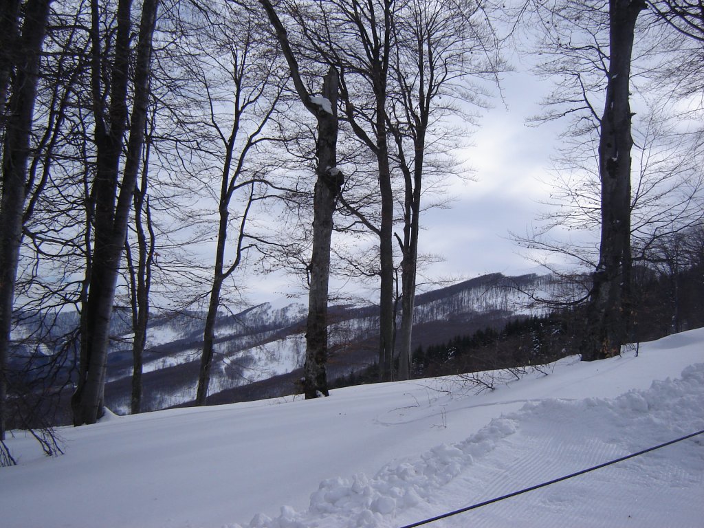 Натиснете снимката за да я уголемите

Име:DSC00147.jpg
Прегледи:1
Размер:222.4 КБ
ID:5350332