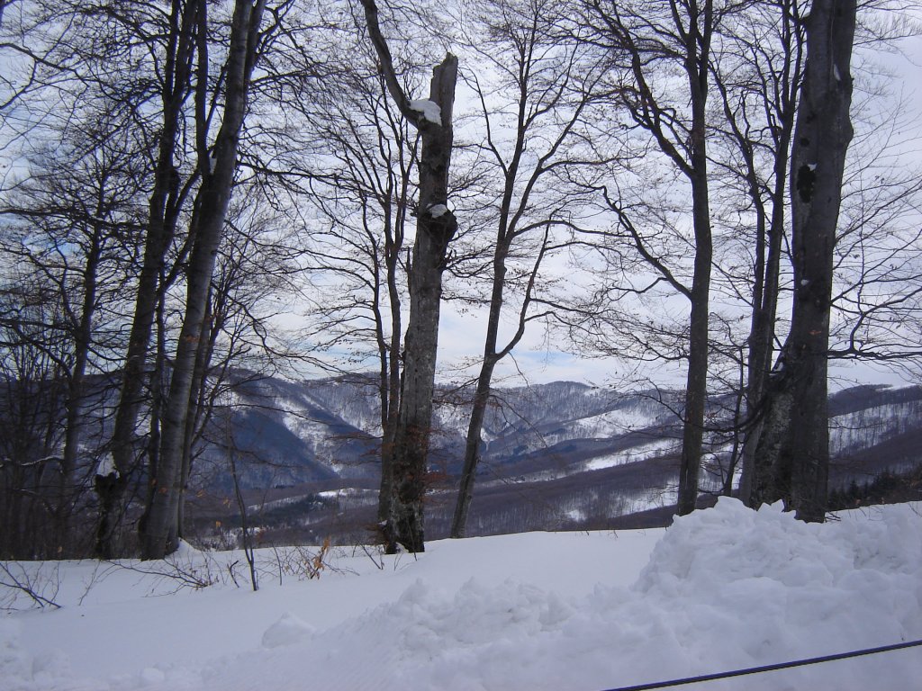 Натиснете снимката за да я уголемите

Име:DSC00151.jpg
Прегледи:1
Размер:248.1 КБ
ID:5350333