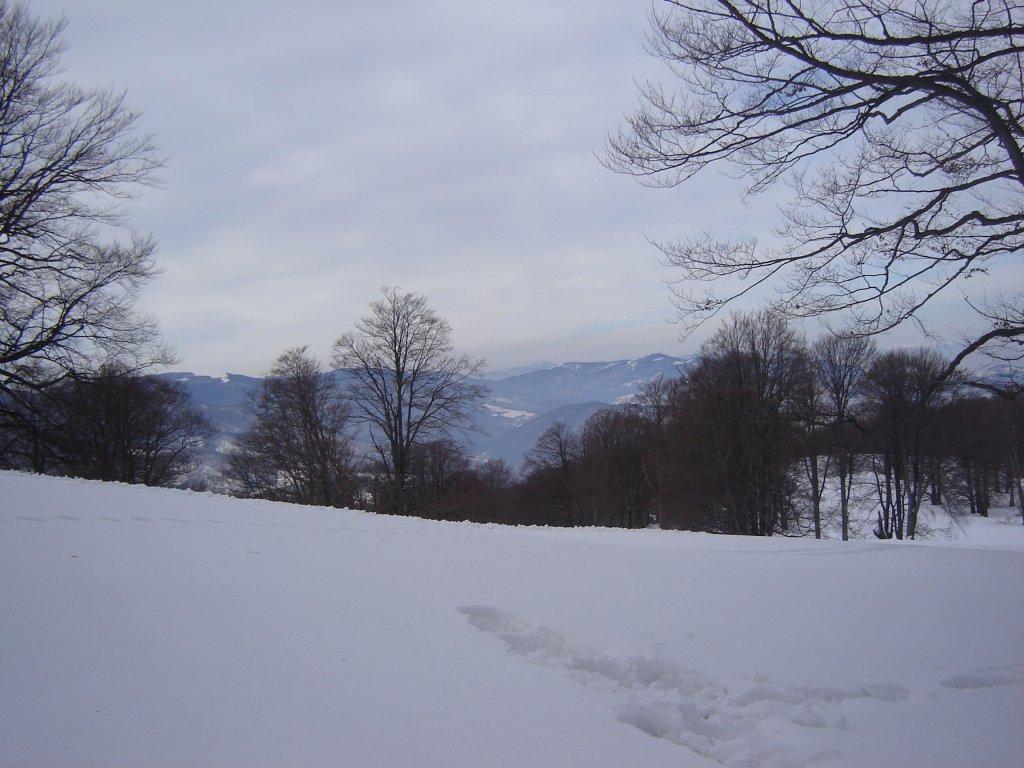 Натиснете снимката за да я уголемите

Име:DSC00155.jpg
Прегледи:1
Размер:124.7 КБ
ID:5350334