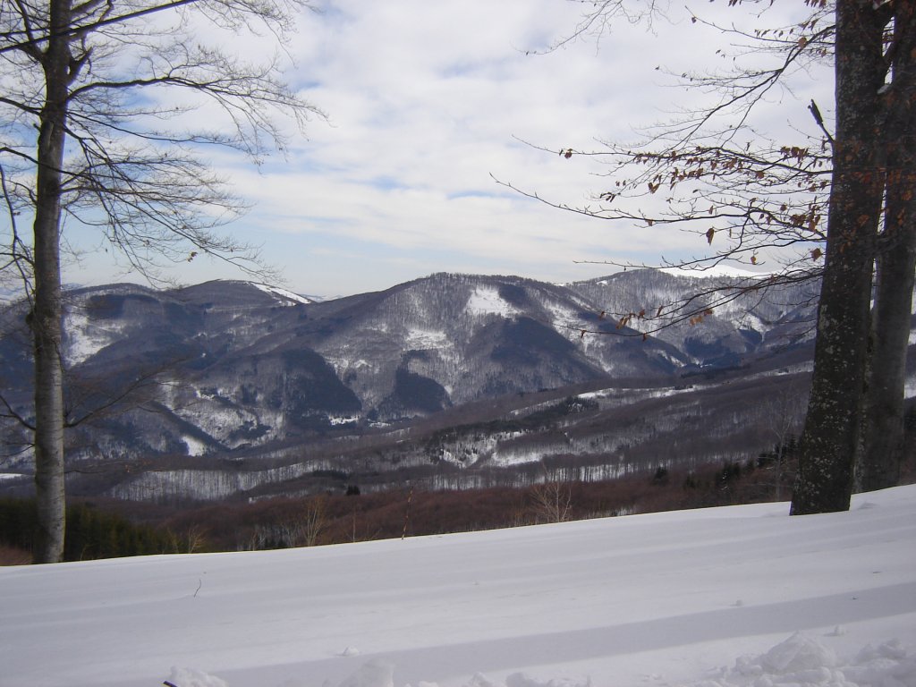 Натиснете снимката за да я уголемите

Име:DSC00160.jpg
Прегледи:1
Размер:140.3 КБ
ID:5350335