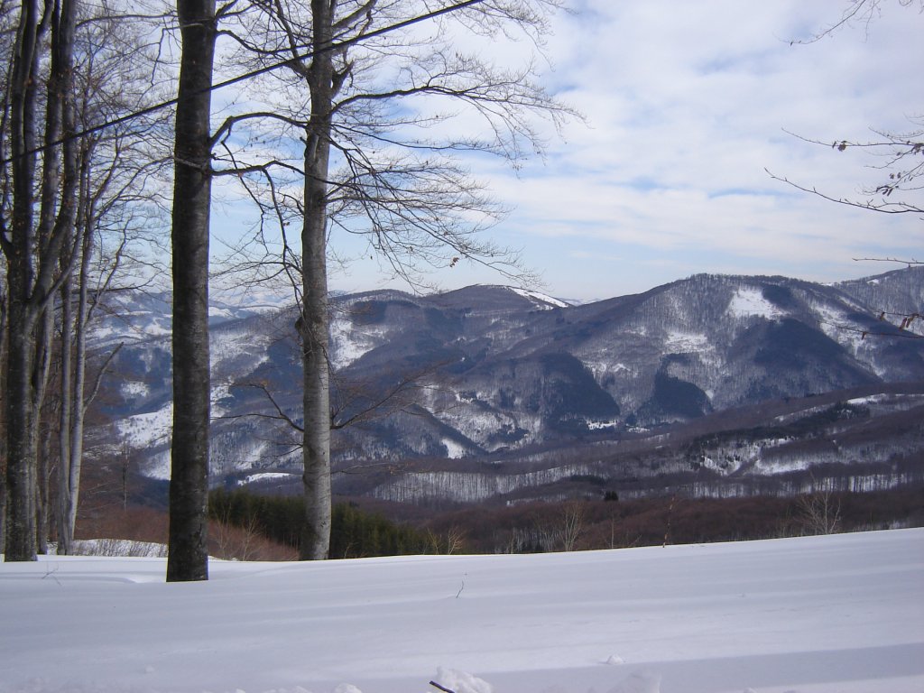 Натиснете снимката за да я уголемите

Име:DSC00161.jpg
Прегледи:1
Размер:156.1 КБ
ID:5350336