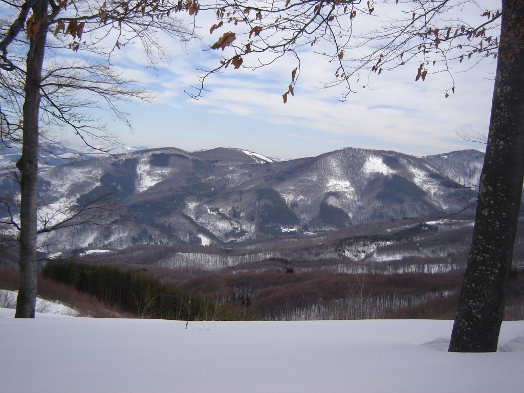 Натиснете снимката за да я уголемите

Име:DSC00163.jpg
Прегледи:1
Размер:156.4 КБ
ID:5350337