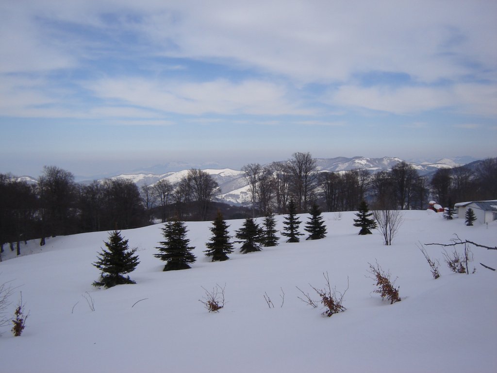 Натиснете снимката за да я уголемите

Име:DSC00191.jpg
Прегледи:1
Размер:83.6 КБ
ID:5350353