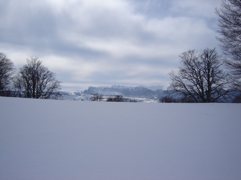 Натиснете снимката за да я уголемите

Име:DSC00193.jpg
Прегледи:1
Размер:85.0 КБ
ID:5350354