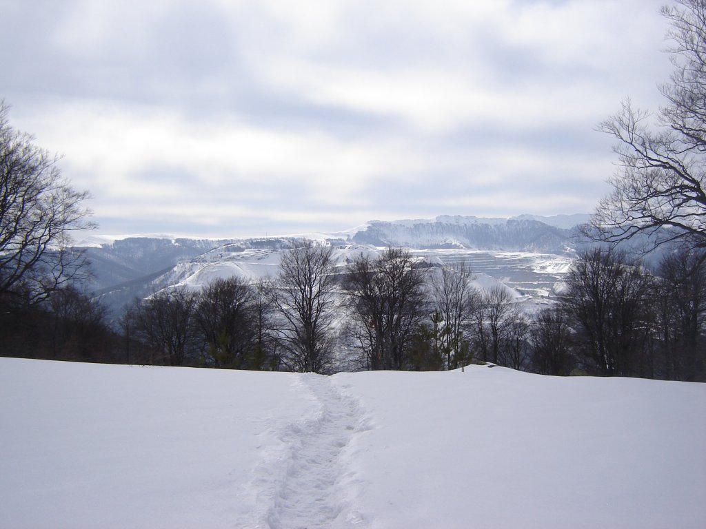 Натиснете снимката за да я уголемите

Име:DSC00195.jpg
Прегледи:1
Размер:107.9 КБ
ID:5350355