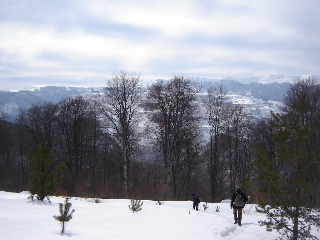 Натиснете снимката за да я уголемите

Име:DSC00199.jpg
Прегледи:1
Размер:131.2 КБ
ID:5350356