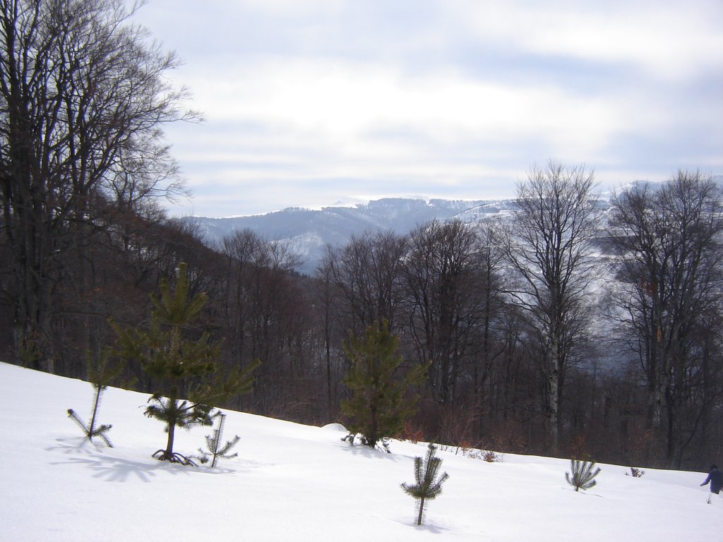 Натиснете снимката за да я уголемите

Име:DSC00200.jpg
Прегледи:1
Размер:137.6 КБ
ID:5350357