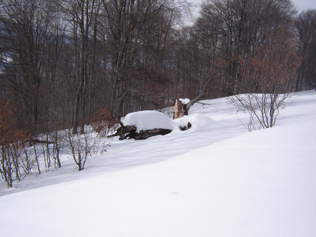 Натиснете снимката за да я уголемите

Име:DSC00201.jpg
Прегледи:1
Размер:153.8 КБ
ID:5350358