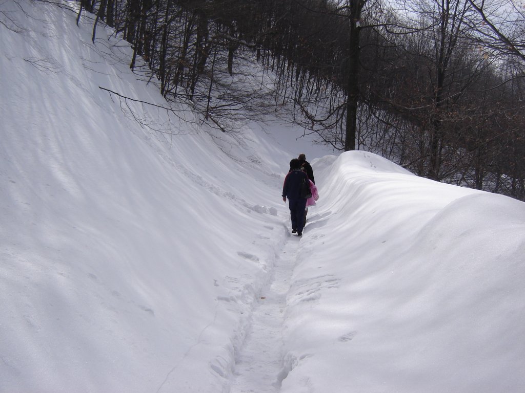 Натиснете снимката за да я уголемите

Име:DSC00203.jpg
Прегледи:1
Размер:126.2 КБ
ID:5350359