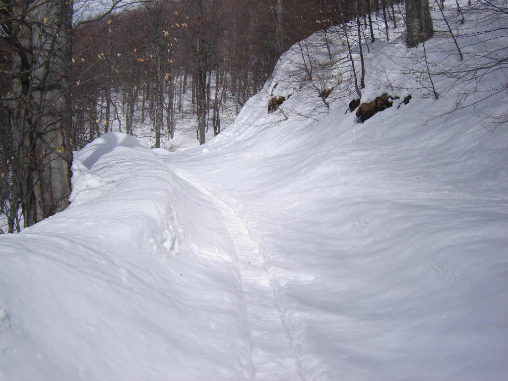 Натиснете снимката за да я уголемите

Име:DSC00202.jpg
Прегледи:1
Размер:132.0 КБ
ID:5350360