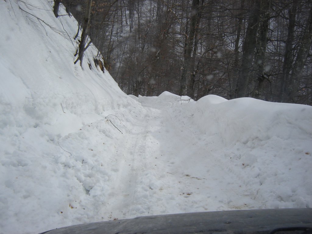 Натиснете снимката за да я уголемите

Име:DSC00221.jpg
Прегледи:1
Размер:116.1 КБ
ID:5350367