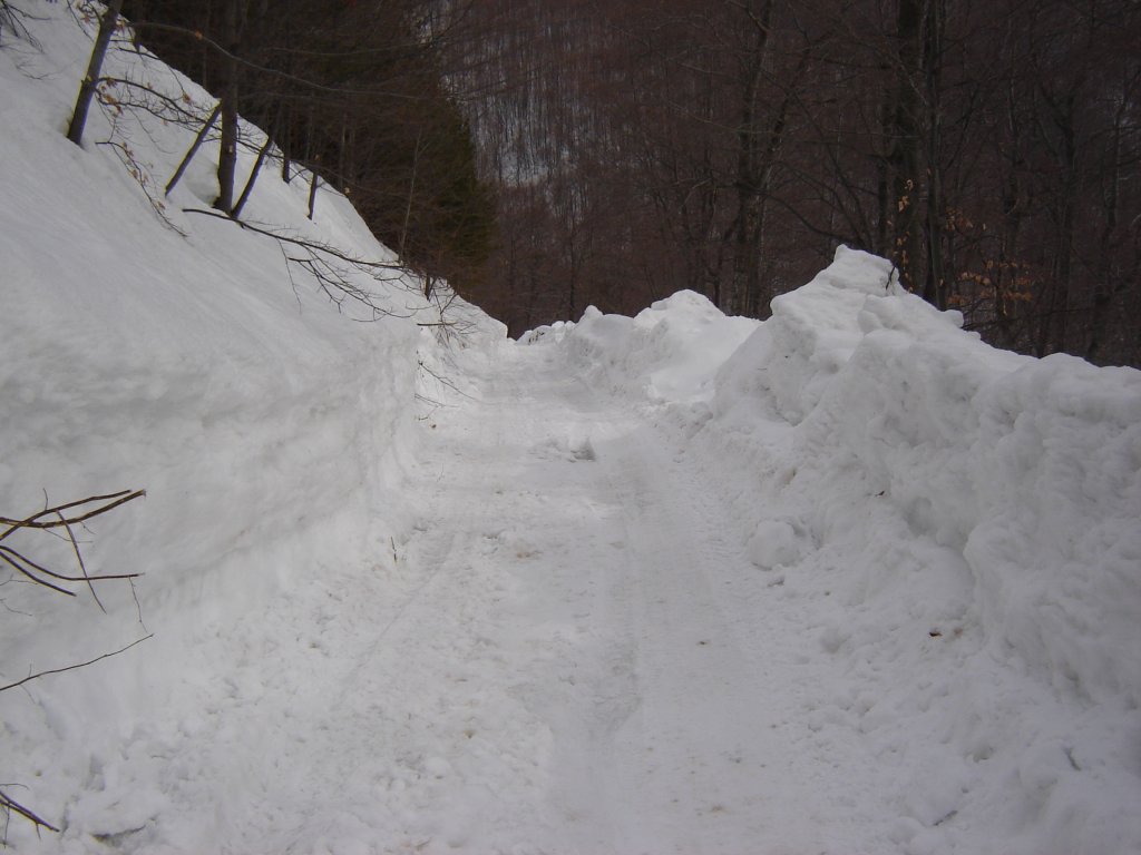 Натиснете снимката за да я уголемите

Име:DSC00219.jpg
Прегледи:1
Размер:99.1 КБ
ID:5350369