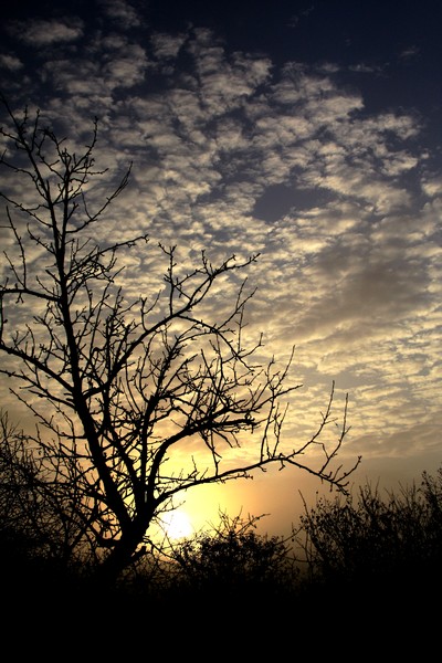 Натиснете снимката за да я уголемите

Име:h_1258261643_123.jpg
Прегледи:1
Размер:103.2 КБ
ID:5350445