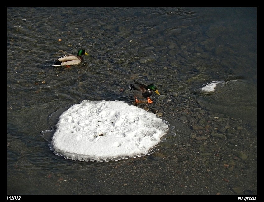 Натиснете снимката за да я уголемите

Име:Диви патици-14.02.2012 056.jpg
Прегледи:1
Размер:215.3 КБ
ID:5350615