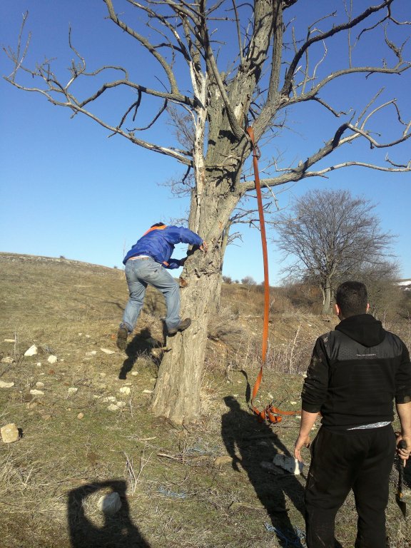 Натиснете снимката за да я уголемите

Име:25022012400.jpg
Прегледи:1
Размер:131.4 КБ
ID:5350661