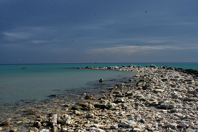 Натиснете снимката за да я уголемите

Име:IMG_5183.jpg
Прегледи:1
Размер:142.4 КБ
ID:5350864