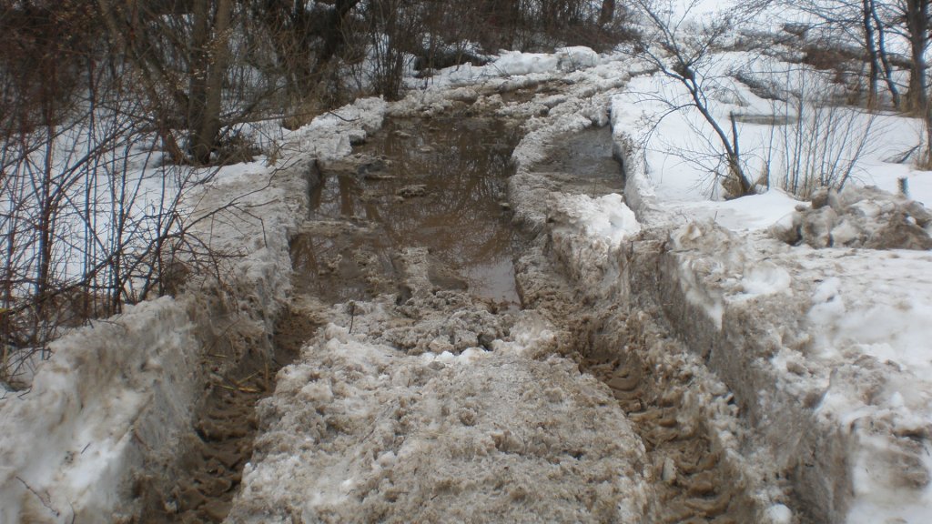 Натиснете снимката за да я уголемите

Име:P2262432.jpg
Прегледи:1
Размер:160.1 КБ
ID:5350936