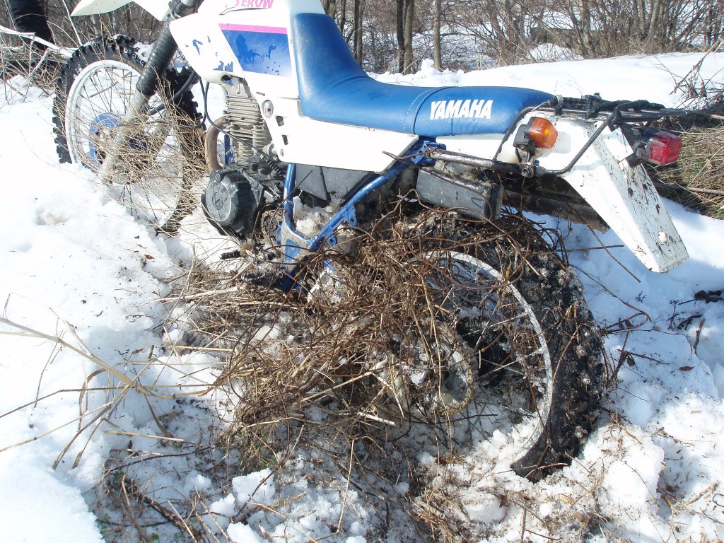 Натиснете снимката за да я уголемите

Име:P2252490.jpg
Прегледи:1
Размер:283.9 КБ
ID:5351297