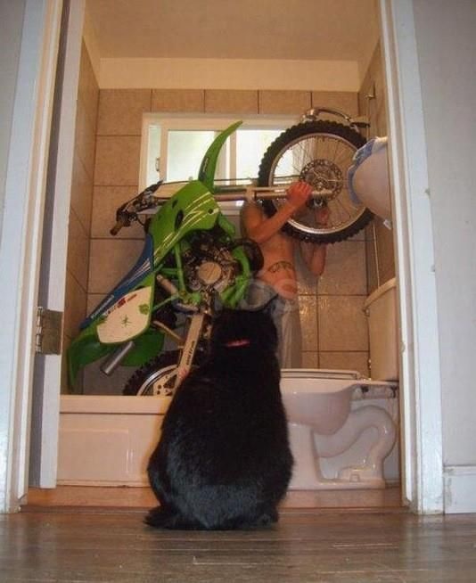 Натиснете снимката за да я уголемите

Име:28.jpg
Прегледи:1
Размер:78.8 КБ
ID:5353247