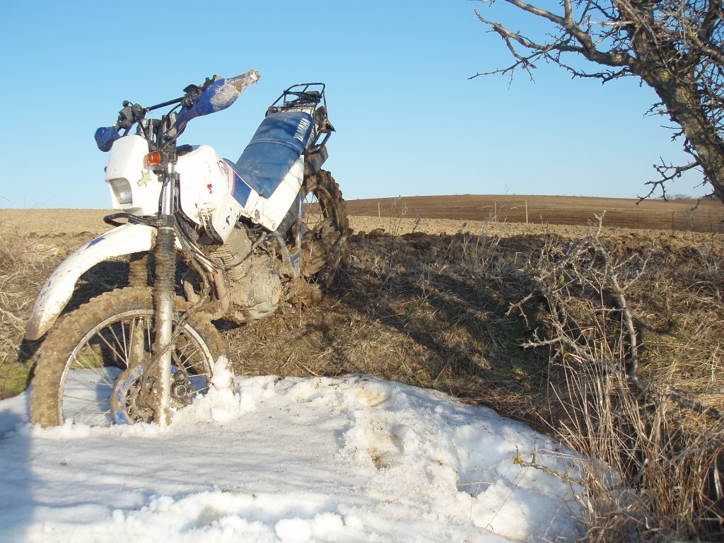 Натиснете снимката за да я уголемите

Име:P3042529.jpg
Прегледи:1
Размер:207.8 КБ
ID:5354135