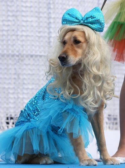 Натиснете снимката за да я уголемите

Име:carnaval-2012-palmas-badajoz-madrid-L-72b6Ie.jpeg
Прегледи:1
Размер:38.0 КБ
ID:5354484