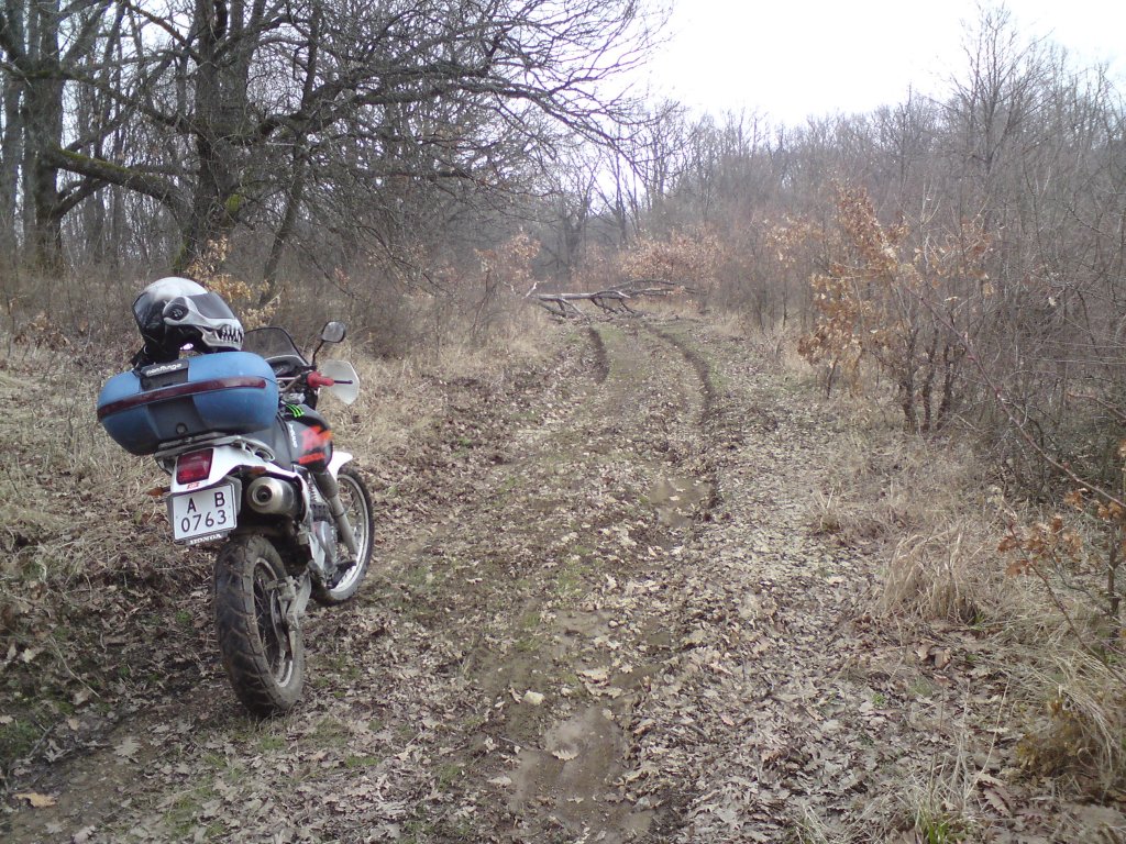 Натиснете снимката за да я уголемите

Име:DSC00595.jpg
Прегледи:1
Размер:284.8 КБ
ID:5354587