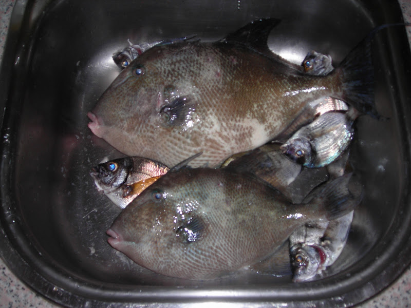 Натиснете снимката за да я уголемите

Име:DSCN2945.JPG
Прегледи:1
Размер:110.5 КБ
ID:5354969