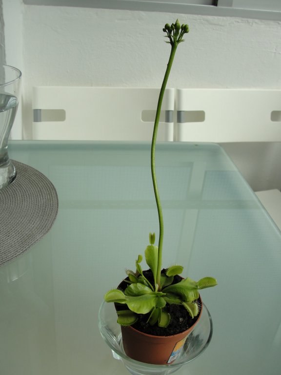 Натиснете снимката за да я уголемите

Име:DSC03072.jpg
Прегледи:1
Размер:43.5 КБ
ID:5355599