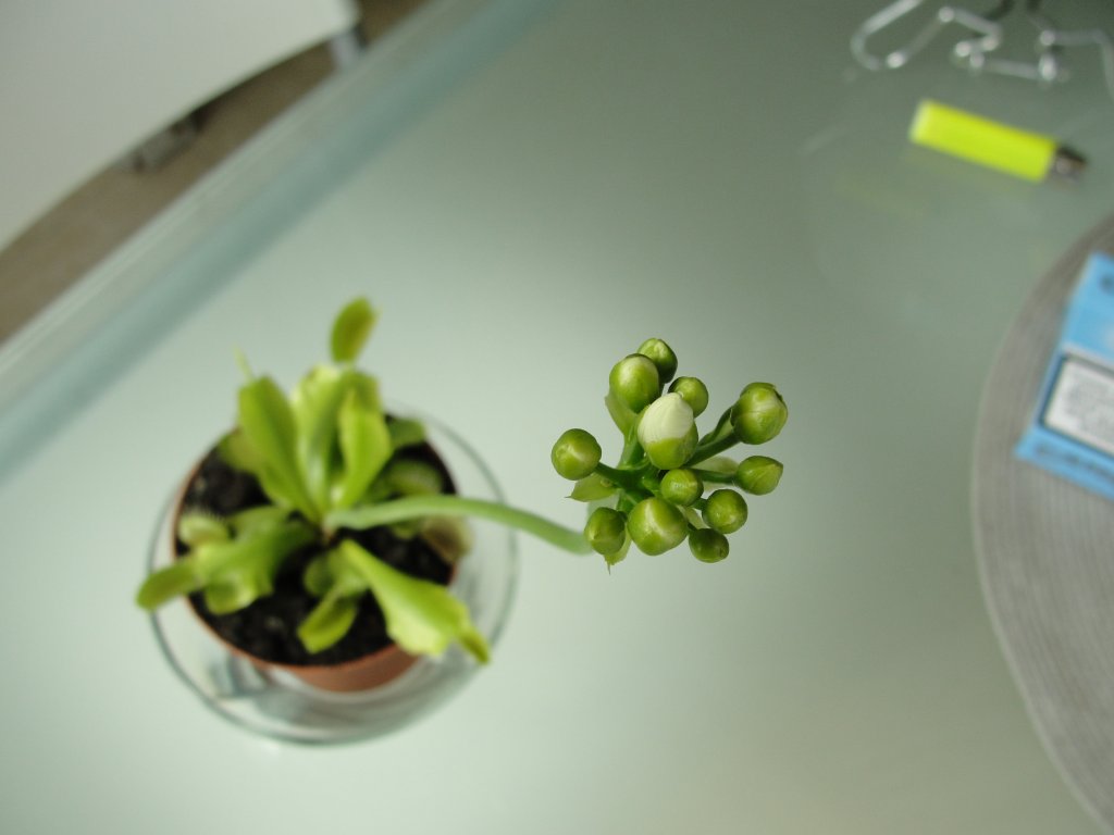 Натиснете снимката за да я уголемите

Име:DSC03073.jpg
Прегледи:1
Размер:53.3 КБ
ID:5355600