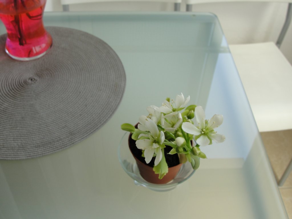 Натиснете снимката за да я уголемите

Име:DSC03114.jpg
Прегледи:1
Размер:61.4 КБ
ID:5355601