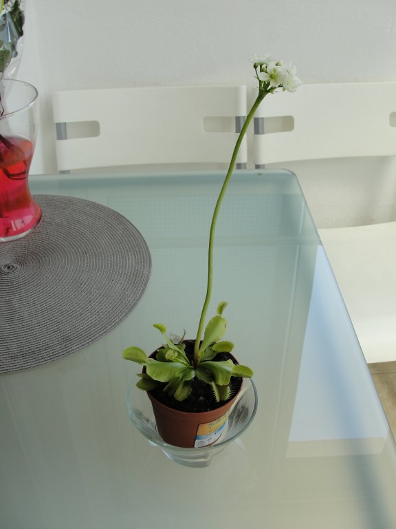 Натиснете снимката за да я уголемите

Име:DSC03116.jpg
Прегледи:1
Размер:44.7 КБ
ID:5355603