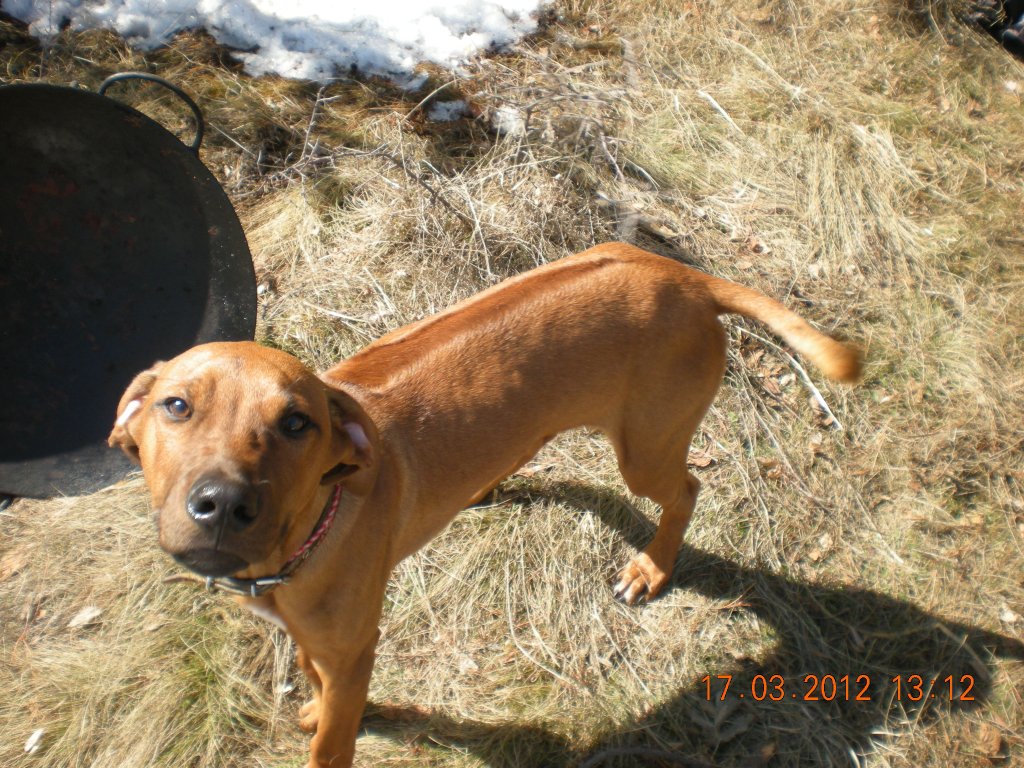 Натиснете снимката за да я уголемите

Име:DSCN1827.jpg
Прегледи:2
Размер:233.4 КБ
ID:5358090