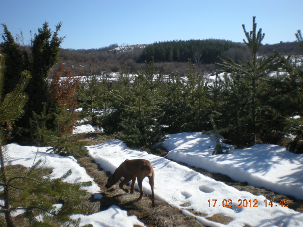 Натиснете снимката за да я уголемите

Име:DSCN1834.jpg
Прегледи:1
Размер:168.7 КБ
ID:5358092