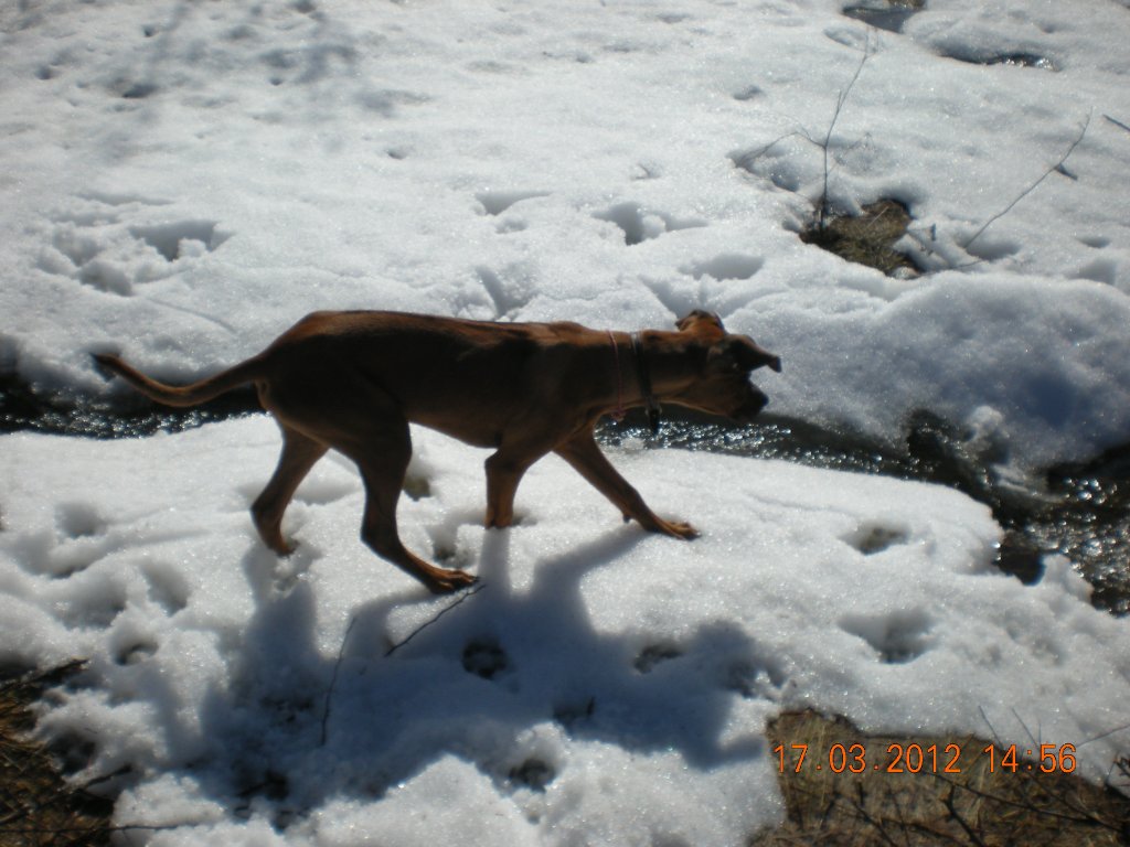 Натиснете снимката за да я уголемите

Име:DSCN1836.jpg
Прегледи:1
Размер:126.8 КБ
ID:5358093