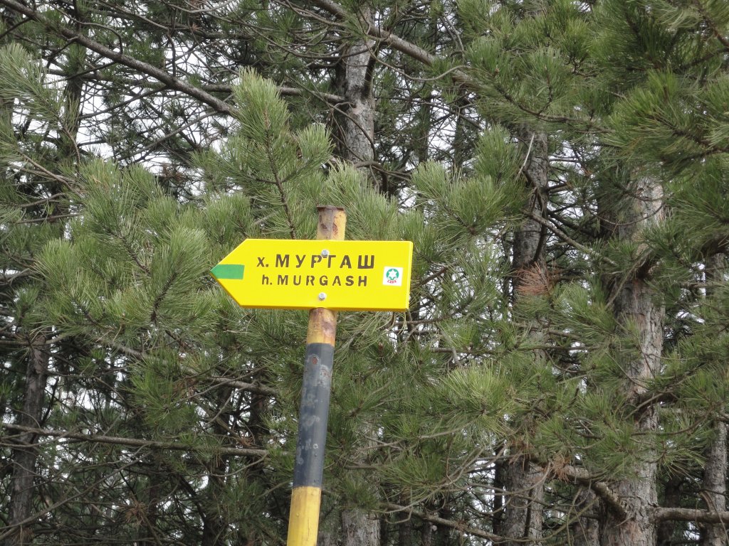 Натиснете снимката за да я уголемите

Име:DSC02990.jpg
Прегледи:1
Размер:280.3 КБ
ID:5358106