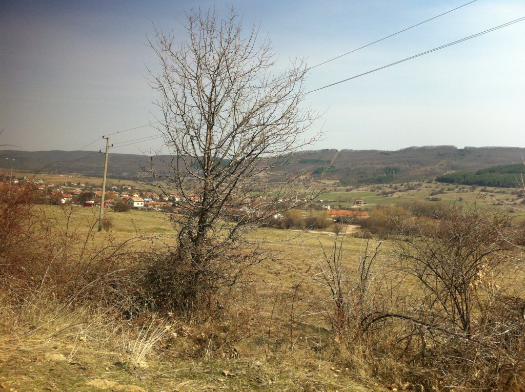 Натиснете снимката за да я уголемите

Име:IMG_1011.jpg
Прегледи:1
Размер:237.0 КБ
ID:5358963