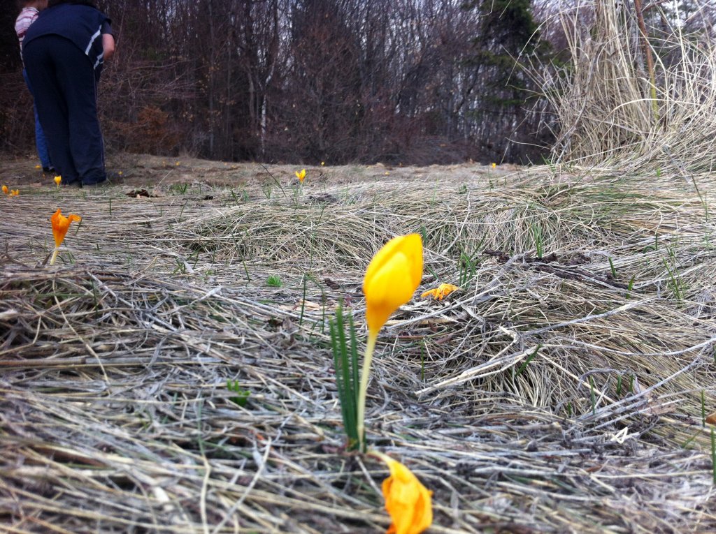 Натиснете снимката за да я уголемите

Име:IMG_1038.jpg
Прегледи:1
Размер:269.2 КБ
ID:5359065