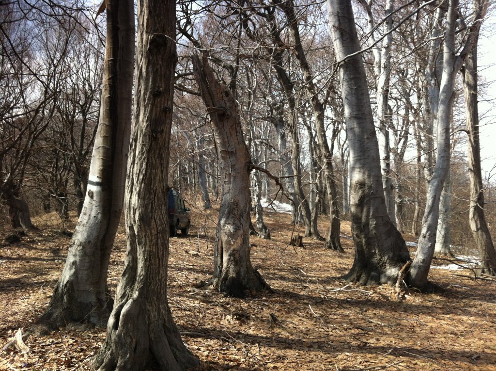 Натиснете снимката за да я уголемите

Име:IMG_1040.jpg
Прегледи:1
Размер:304.8 КБ
ID:5359067