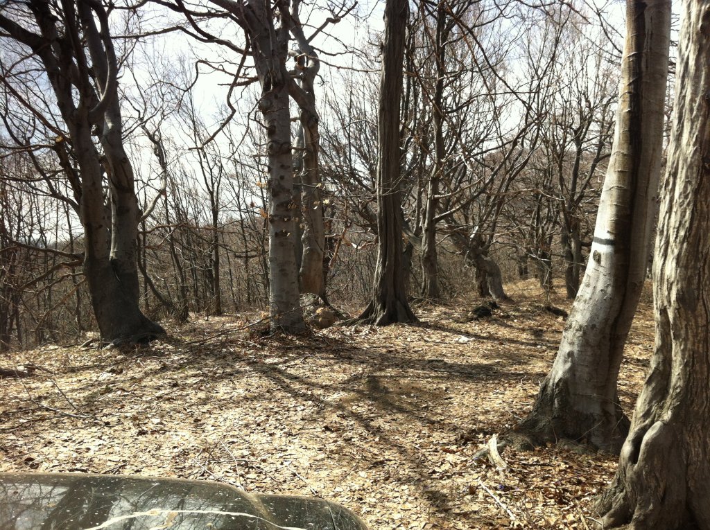 Натиснете снимката за да я уголемите

Име:IMG_1041.jpg
Прегледи:1
Размер:327.3 КБ
ID:5359068